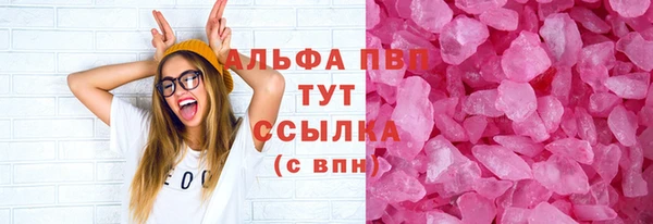 ПСИЛОЦИБИНОВЫЕ ГРИБЫ Козловка