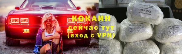 ПСИЛОЦИБИНОВЫЕ ГРИБЫ Козловка