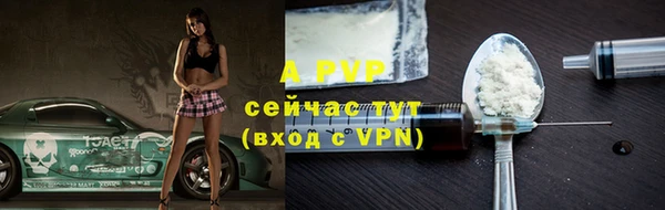 ПСИЛОЦИБИНОВЫЕ ГРИБЫ Козловка