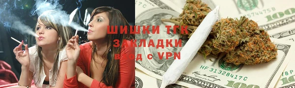 ПСИЛОЦИБИНОВЫЕ ГРИБЫ Козловка