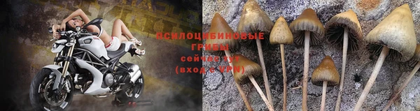 герыч Кодинск