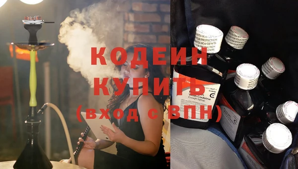 ПСИЛОЦИБИНОВЫЕ ГРИБЫ Козловка