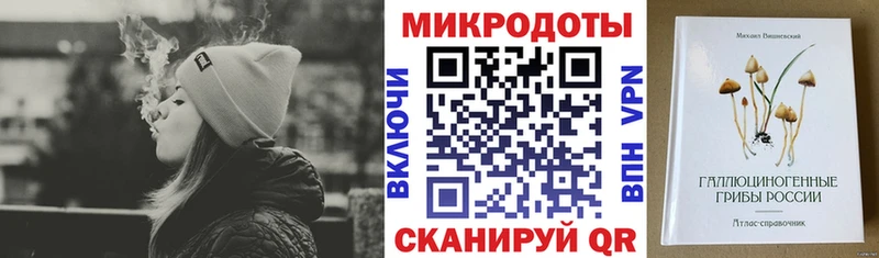 Псилоцибиновые грибы ЛСД  ОМГ ОМГ tor  Рудня  закладка 